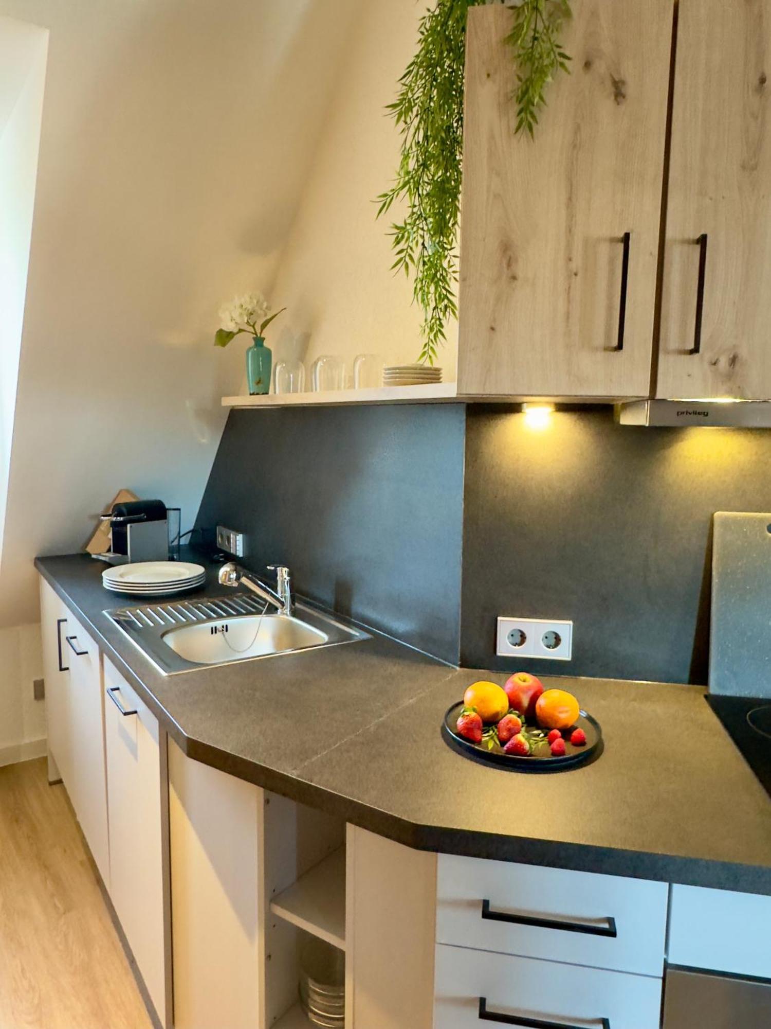 Living & Serviced Apartments By Blauer Wolf Gunzenhausen Exterior foto